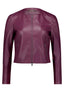 Strong Aubergine