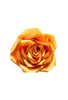 Geel